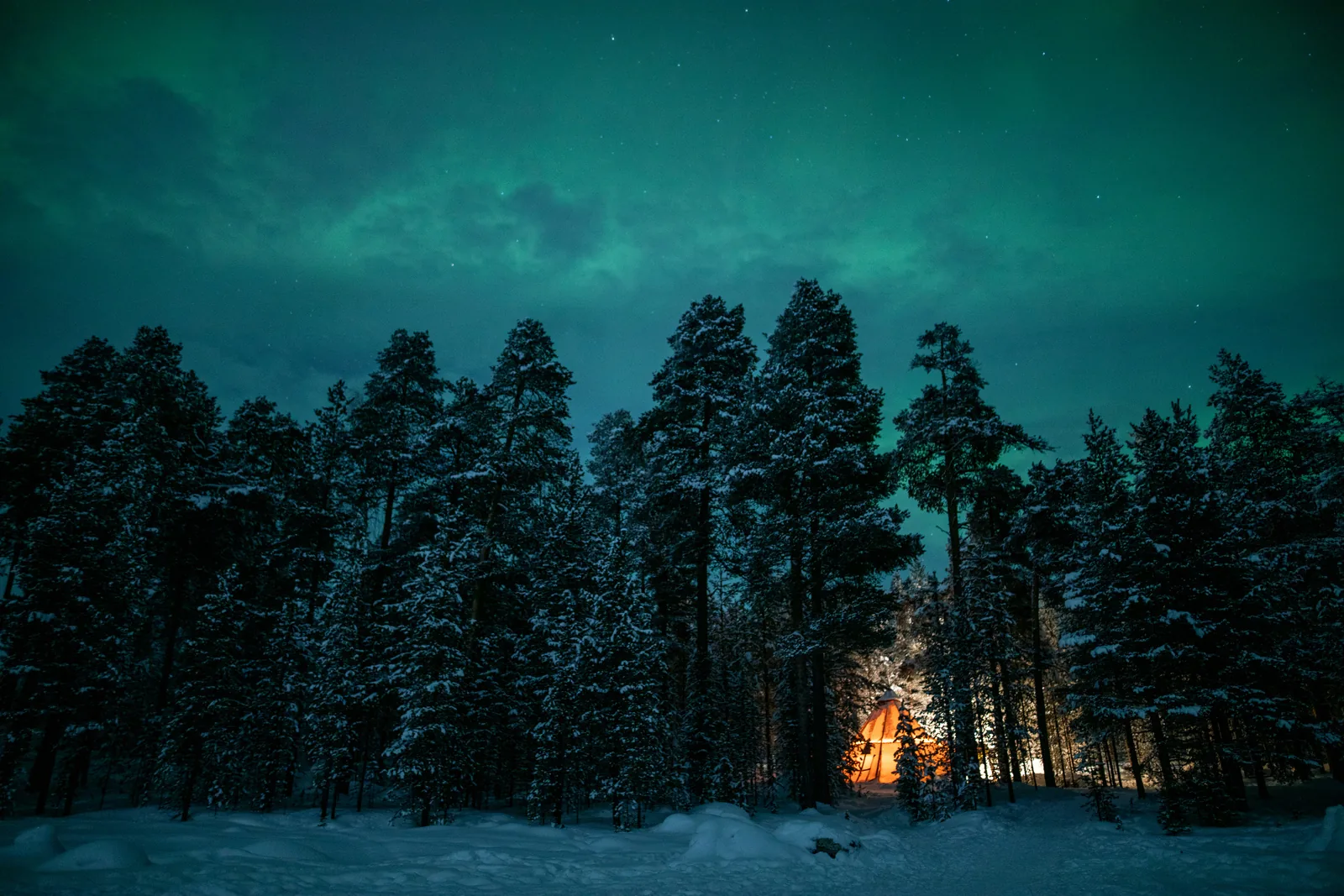Aurora above snow-covered pines with a fire burning below