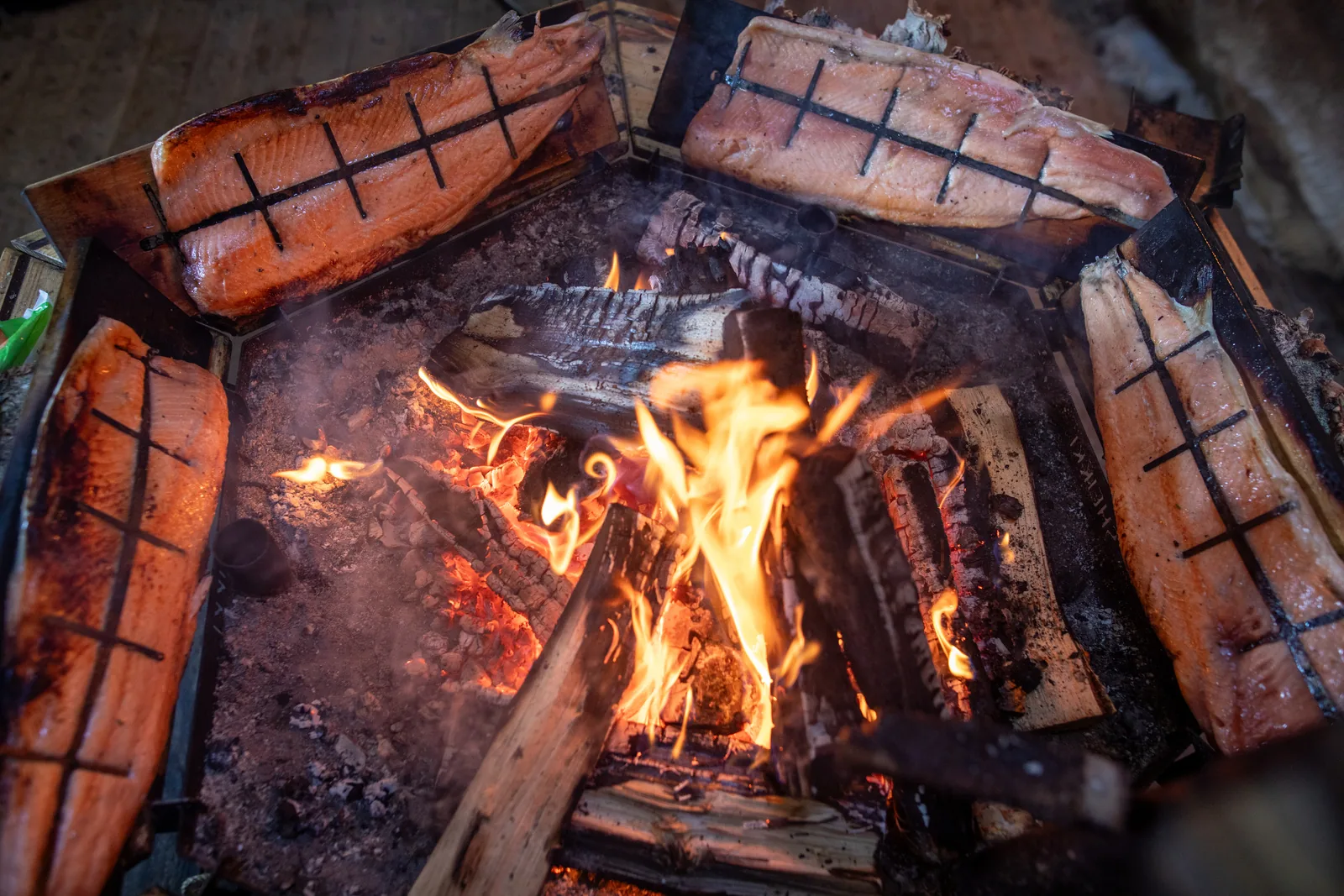 Salmon planked upright around an open fire