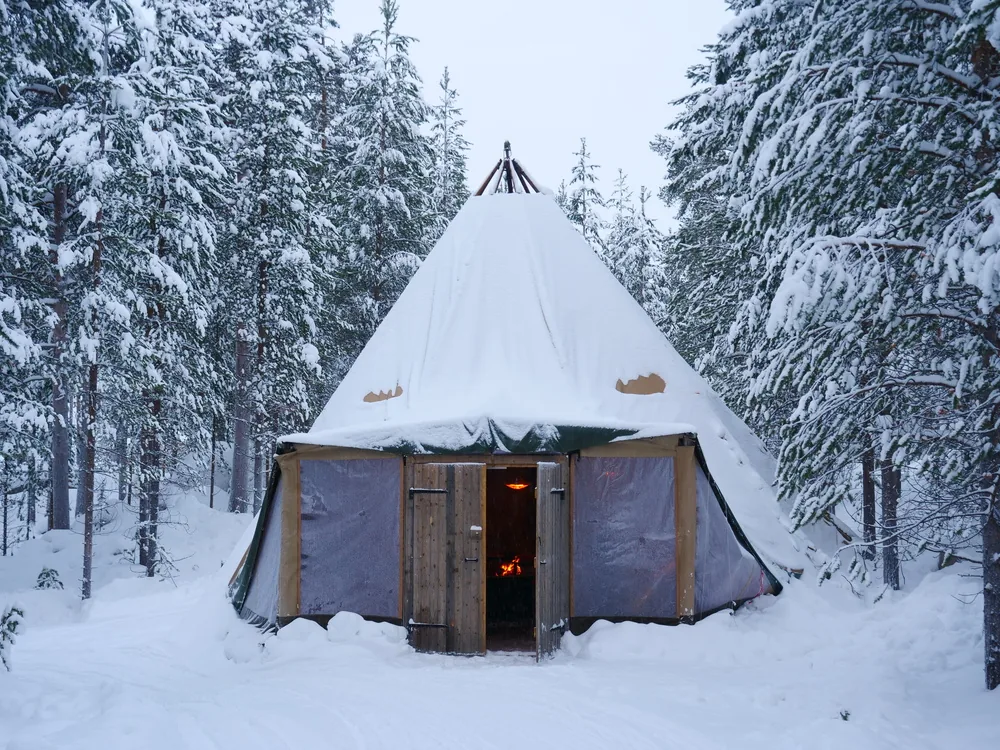A snow-covered canvas shelter in a quiet pine forest